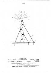Способ формирования ствола дерева (патент 496989)