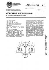 Зачистное устройство роторного экскаватора (патент 1232754)