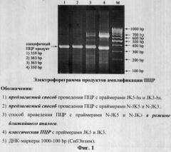 Способ проведения пцр (патент 2299240)