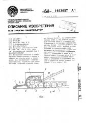 Устройство для удаления льда с дорожных покрытий (патент 1643657)