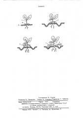 Способ борьбы с сорняками в рядке растений (патент 534222)