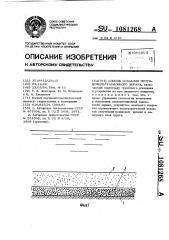 Способ создания противофильтрационного экрана (патент 1081268)