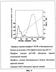 Способ получения, выделения, очистки и стабилизации рекомбинантного гранулоцитарного колониестимулирующего фактора человека, пригодного для медицинского применения, и иммунобиологическое средство на его основе (патент 2278870)