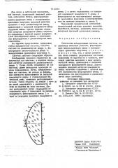 Оптическая иммерсионная система (патент 714334)