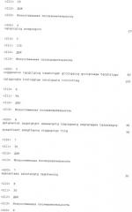 Бактерия escherichia coli для получения 1,2-пропандиола, способ ее получения, способ получения 1,2-пропандиола (патент 2407793)