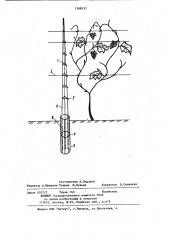 Виноградный шпалерный столб (патент 1168137)