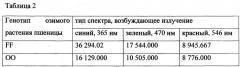 Способ определения потенциальной зимостойкости растений озимой мягкой пшеницы (патент 2652390)