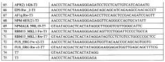 Способ выявления структурных перестроек генома опухолевых клеток (химерных генов), определяющих выбор терапии и прогноз при острых лейкозах у детей, с использованием от-пцр и последующей гибридизацией с олигонуклеотидным биологическим микрочипом (биочипом) (патент 2639513)