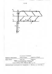 Способ формирования виноградного куста (патент 1435198)