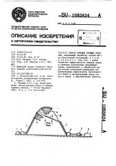 Способ тушения горящих отвалов (патент 1093824)