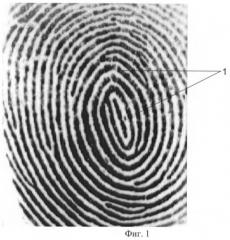 Способ формирования и верификации биометрического кода отпечатка пальца (патент 2413297)