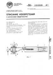 Устройство для очистки трубопроводов (патент 1313538)