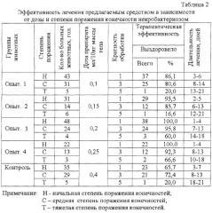 Препарат против некробактериоза крупного рогатого скота и респираторных заболеваний телят, способ лечения и профилактики некробактериоза крупного рогатого скота и респираторных заболеваний телят (патент 2262936)