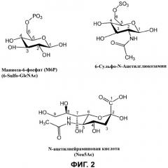 Способы, относящиеся к модифицированным гликанам (патент 2526250)