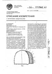 Устройство для изоляции подземной горной выработки (патент 1717842)