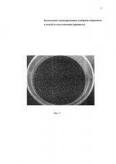 Комплексное гранулированное удобрение (варианты) и способ его изготовления (варианты) (патент 2626630)