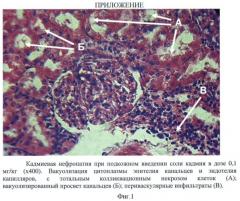 Способ профилактики кадмиевой нефропатии у экспериментальных животных при хроническом отравлении (патент 2366459)