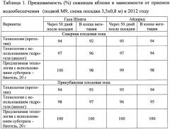 Способ выращивания плодового сада (патент 2654640)