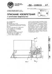 Бесцепная система подачи (патент 1239316)