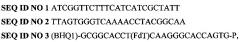 Способ оценки состояния пародонта человека на устойчивость к развитию хронического генерализованного пародонтита на основании количественного определения бактерии-пародонтопротектора veillonella parvula методом пцр в реальном времени (патент 2619172)