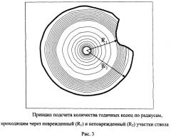 Способ определения поражения селями горной долины (патент 2519807)