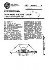 Штанговая сеялка (патент 1095893)