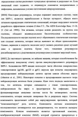 Иммуногенная композиция и способ разработки вакцины, основанной на участках связывания фактора н (патент 2364413)