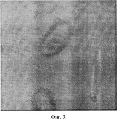 Способ подготовки кормов из микроводорослей для личинок дальневосточного трепанга (патент 2566672)