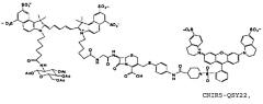 Применение бактериальной бета-лактамазы для диагностики in vitro и визуализации, диагностики и лечения in vivo (патент 2520661)