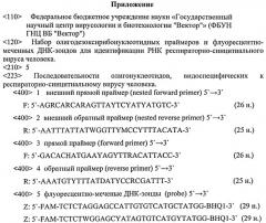 Набор олигодезоксирибонуклеотидных праймеров и флуоресцентно-меченых зондов для индентификации рнк респираторно-синцитиального вируса человека (патент 2541773)