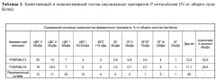 Рекомбинантный штамм мицелиального гриба penicillium verruculosum ( варианты) и способ получения ферментного препарата с его использованием (варианты) (патент 2646136)