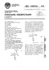 Способ получения ангидридов 6-фтор-7-хлор-1-метиламино-4- оксо-1,4-дигидрохинолин-3-карбоновой кислоты и борных кислот (патент 1584751)