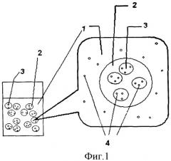 Косметическое средство накожного применения и способ его получения (патент 2436559)