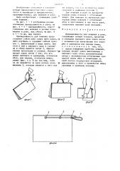 Принадлежность для ношения в руке (патент 1409215)
