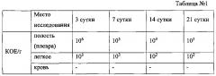 Способ моделирования ограниченной хронической эмпиемы плевры (патент 2636177)