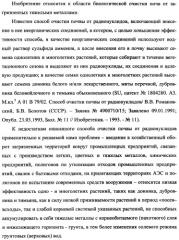 Фиторемедиационный способ очистки почв от тяжелых металлов (патент 2359444)
