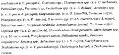 Пестицидная композиция и способ обработки семян (патент 2427133)