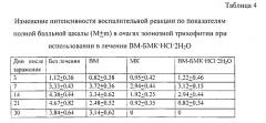 Антифунгальное средство на основе метилового эфира 2-бензимидазолилкарбаминовой кислоты или его производных (патент 2546041)