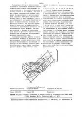 Способ геофизической разведки (патент 1448319)