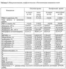 Способ профилактики лейкоза молодняка крупного рогатого скота (патент 2558924)