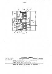 Распределитель питателя кокономотального автомата (патент 1008288)
