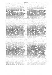 Устройство для изготовления электретов (патент 1097113)
