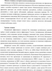 Моноклональные антитела против nkg2a (патент 2481356)