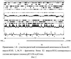 Рекомбинантная плазмида pci-neo-odc-nsp1 и ее варианты pci-neo-odc-e2-l и pci-neo-odc-e2-m, кодирующие белки вируса венесуэльского энцефаломиелита лошадей и белок орнитиндекарбоксилазы, предназначенные для разработки средств профилактики вирусных инфекционных заболеваний (на примере вируса вэл) (патент 2280691)