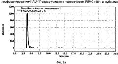 4'-азидонуклеозиды, активные в отношении hcv (патент 2556991)