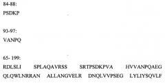 Лекарственное средство для коррекции эндотелиальной дисфункции (патент 2536228)