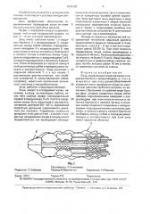 Зонд (патент 1604380)