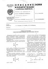 Способ получения n-диалкиламиноимидов дикарбоновых кислот (патент 342858)