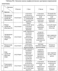 Способ морфологической оценки влияния различных лекарственных форм железа для энтерального применения на тонкий отдел кишечника у экспериментальных животных (патент 2641979)