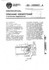 Устройство для сортировки плодов и овощей (патент 1026847)